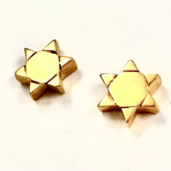 Robert Lee Morris Fat Star earring