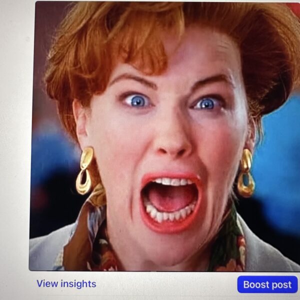 Robert Lee Morris Home Alone Earrings